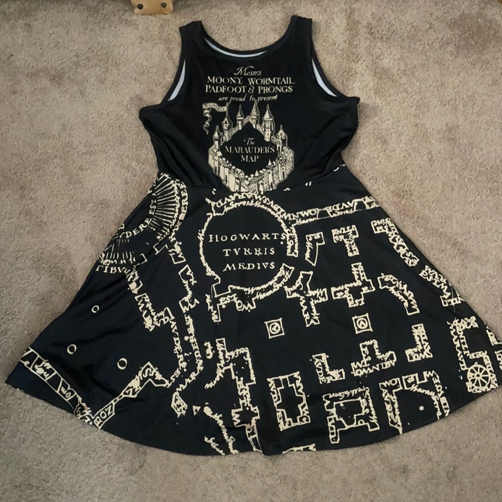 I solemnly swear I am up to no good